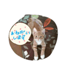 チョコとモナカのハッピーデイ（個別スタンプ：14）