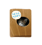 チョコとモナカのハッピーデイ（個別スタンプ：16）