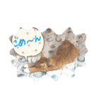 チョコとモナカのハッピーデイ（個別スタンプ：20）