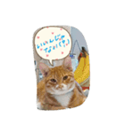チョコとモナカのハッピーデイ（個別スタンプ：23）