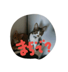 チョコとモナカのハッピーデイ（個別スタンプ：24）