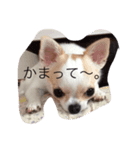 スムチーもみ（個別スタンプ：1）