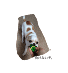 スムチーもみ（個別スタンプ：3）