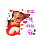 Dog＆cat (Nueaw ＆Friends)（個別スタンプ：19）
