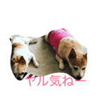 ミルクチップモカ（個別スタンプ：1）
