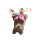 ミルクチップモカ（個別スタンプ：6）
