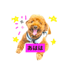 ノエタンワールド（個別スタンプ：4）