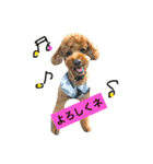 ノエタンワールド（個別スタンプ：6）