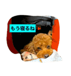 ノエタンワールド（個別スタンプ：7）
