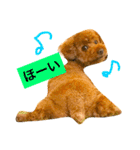 ノエタンワールド（個別スタンプ：11）
