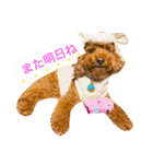ノエタンワールド（個別スタンプ：13）