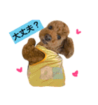 ノエタンワールド（個別スタンプ：16）