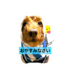 ノエタンワールド（個別スタンプ：24）