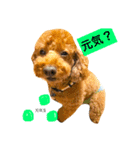 ノエタンワールド（個別スタンプ：25）