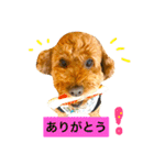 ノエタンワールド（個別スタンプ：28）