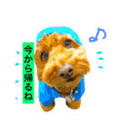 ノエタンワールド（個別スタンプ：29）