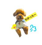 ノエタンワールド（個別スタンプ：30）