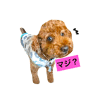ノエタンワールド（個別スタンプ：31）