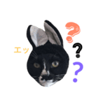 よく使うVer.2（個別スタンプ：1）