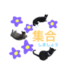 よく使うVer.2（個別スタンプ：7）