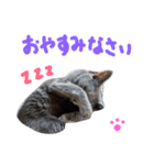 fu ＆ an  3（個別スタンプ：6）