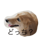munyanko7（個別スタンプ：4）