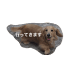 munyanko7（個別スタンプ：8）