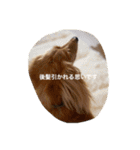 munyanko7（個別スタンプ：12）