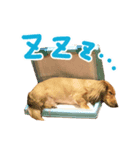 市丸（個別スタンプ：4）