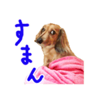 市丸（個別スタンプ：6）
