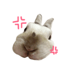 おもちくんだらけ（個別スタンプ：2）
