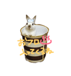 おもちくんだらけ（個別スタンプ：8）