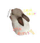 おもちくんだらけ（個別スタンプ：13）
