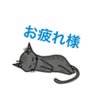猫の日（個別スタンプ：2）