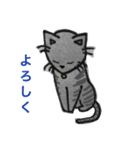 猫の日（個別スタンプ：5）