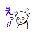 猫の日（個別スタンプ：7）
