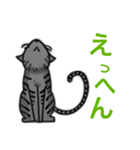猫の日（個別スタンプ：14）