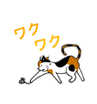 猫の日（個別スタンプ：22）