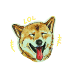 Wadyoodai（個別スタンプ：24）