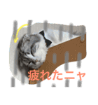 スコランド（個別スタンプ：2）