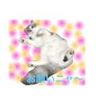 スコランド（個別スタンプ：9）