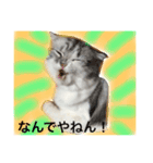 スコランド（個別スタンプ：10）