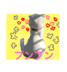 スコランド（個別スタンプ：13）