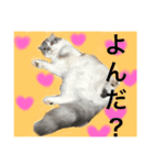 スコランド（個別スタンプ：15）