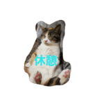 monako .world（個別スタンプ：3）