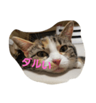 monako .world（個別スタンプ：5）