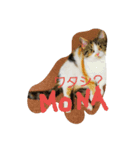 monako .world（個別スタンプ：6）