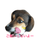 にこにこ そらゆき（個別スタンプ：5）