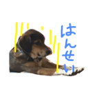 にこにこ そらゆき（個別スタンプ：11）