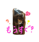 にこにこ そらゆき（個別スタンプ：13）